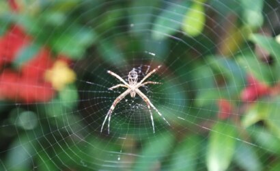 webmaster-SEO-ipuclari-713cd7d532e33071985ebfb81fce02c3